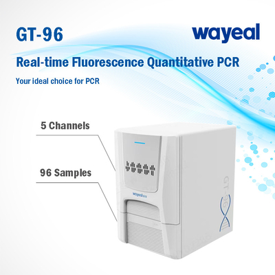 اختبار سريع في الوقت الحقيقي مضان محلل PCR الكمي 96 بئرا 5 قنوات